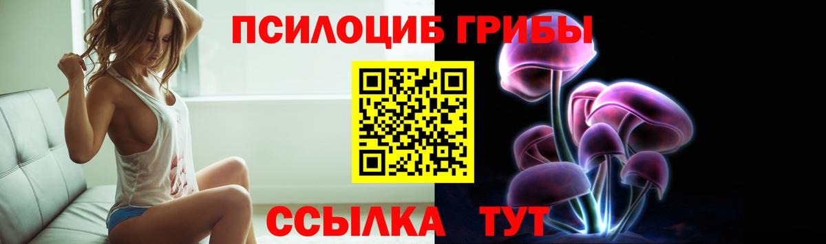 Кунгур  Псилоцибиновые грибы Psilocybe  закладки  Вход с VPN 